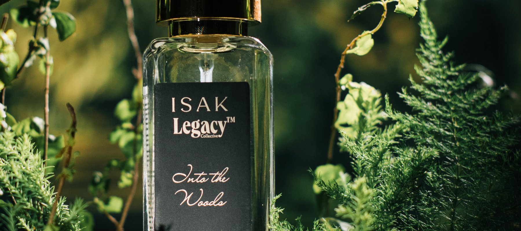 Legacy Bacardi Collection