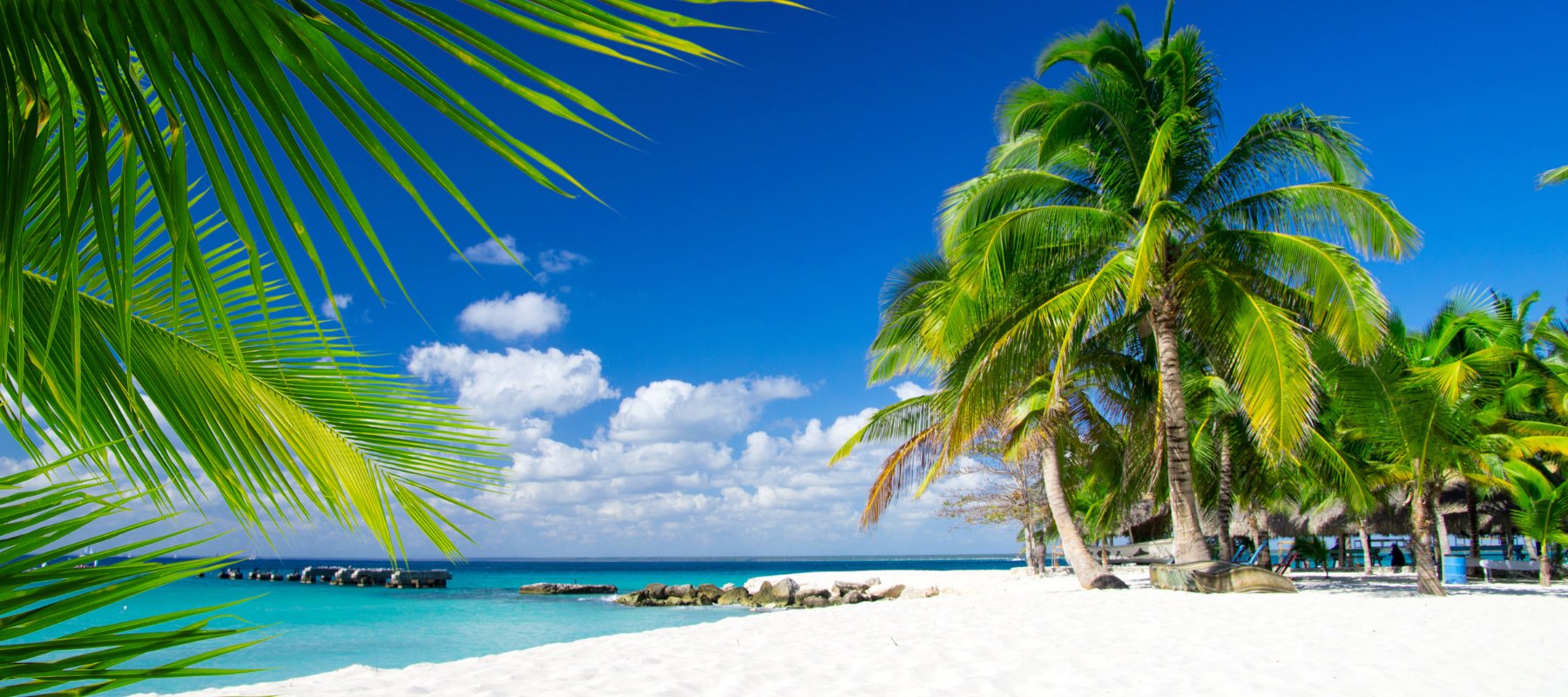 Aquatic Notes Perfumes