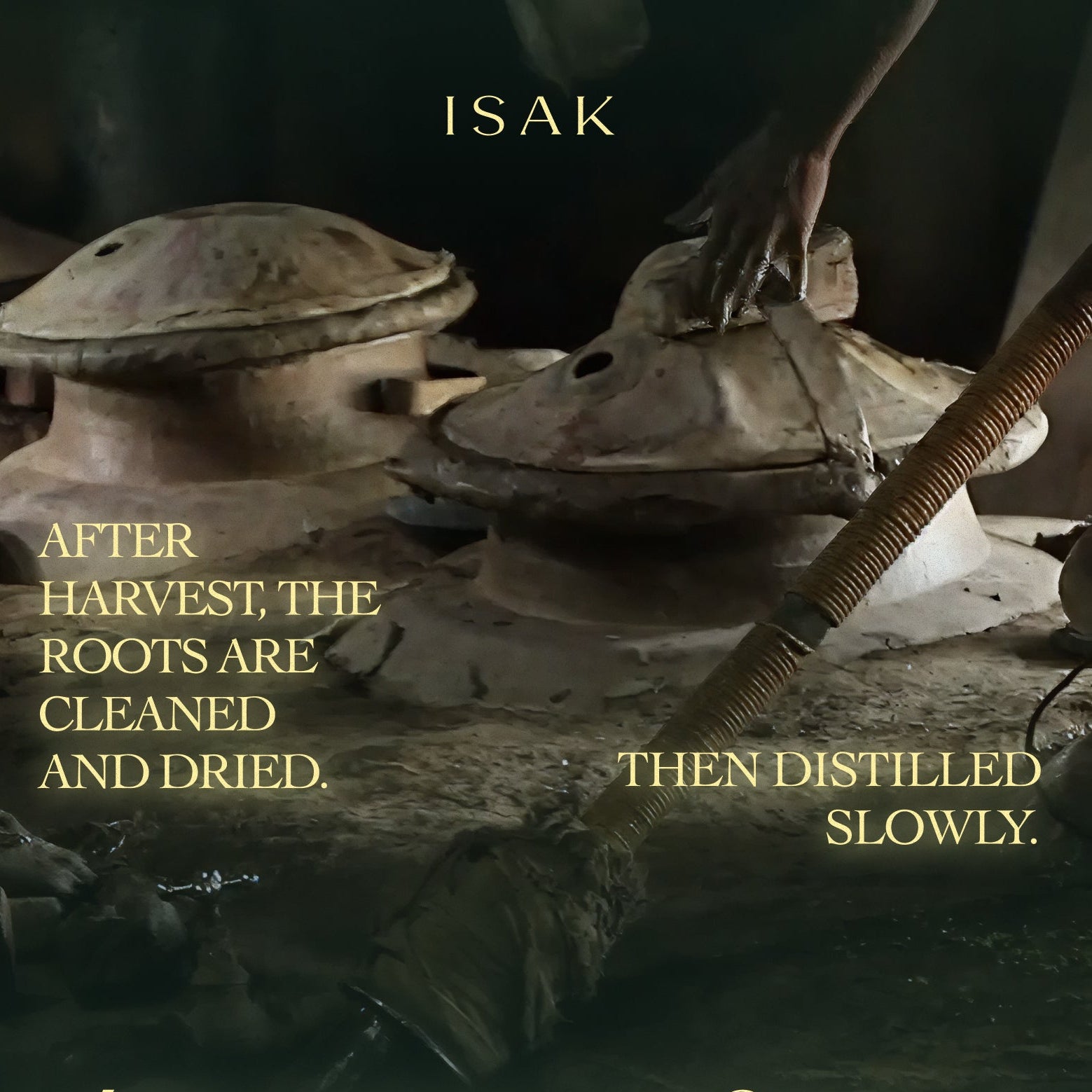Khus Attar distillation scene; fragrance bottle not visible in this image