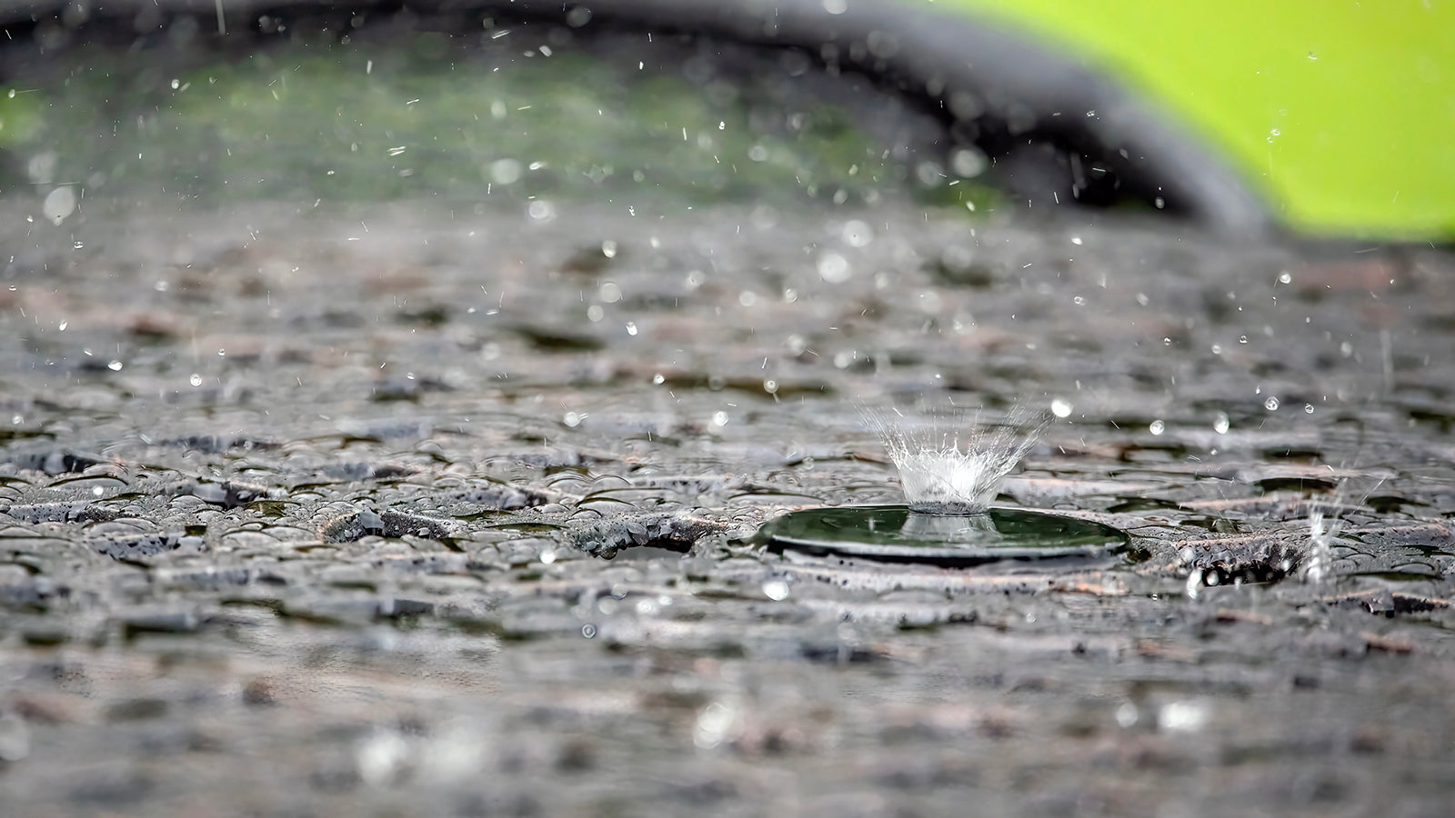Best Petrichor Perfume in India