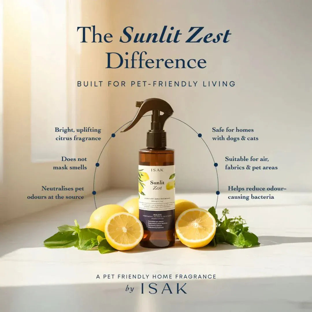 Sunlit Zest fragrance spray bottle with pump top, citrus fruit and leaves