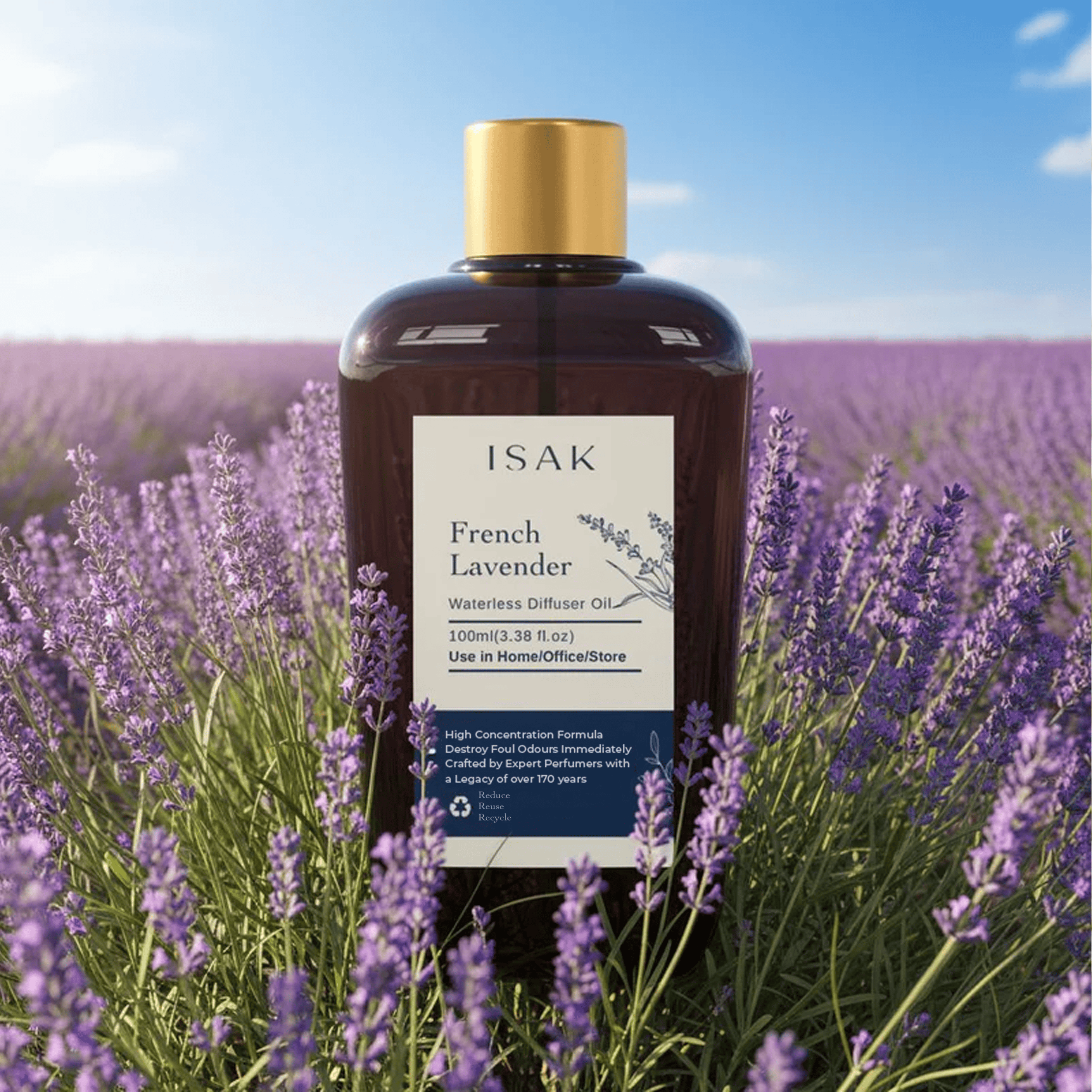 French Lavender waterless diffuser oil, 100ml bottle with gold cap and front label
