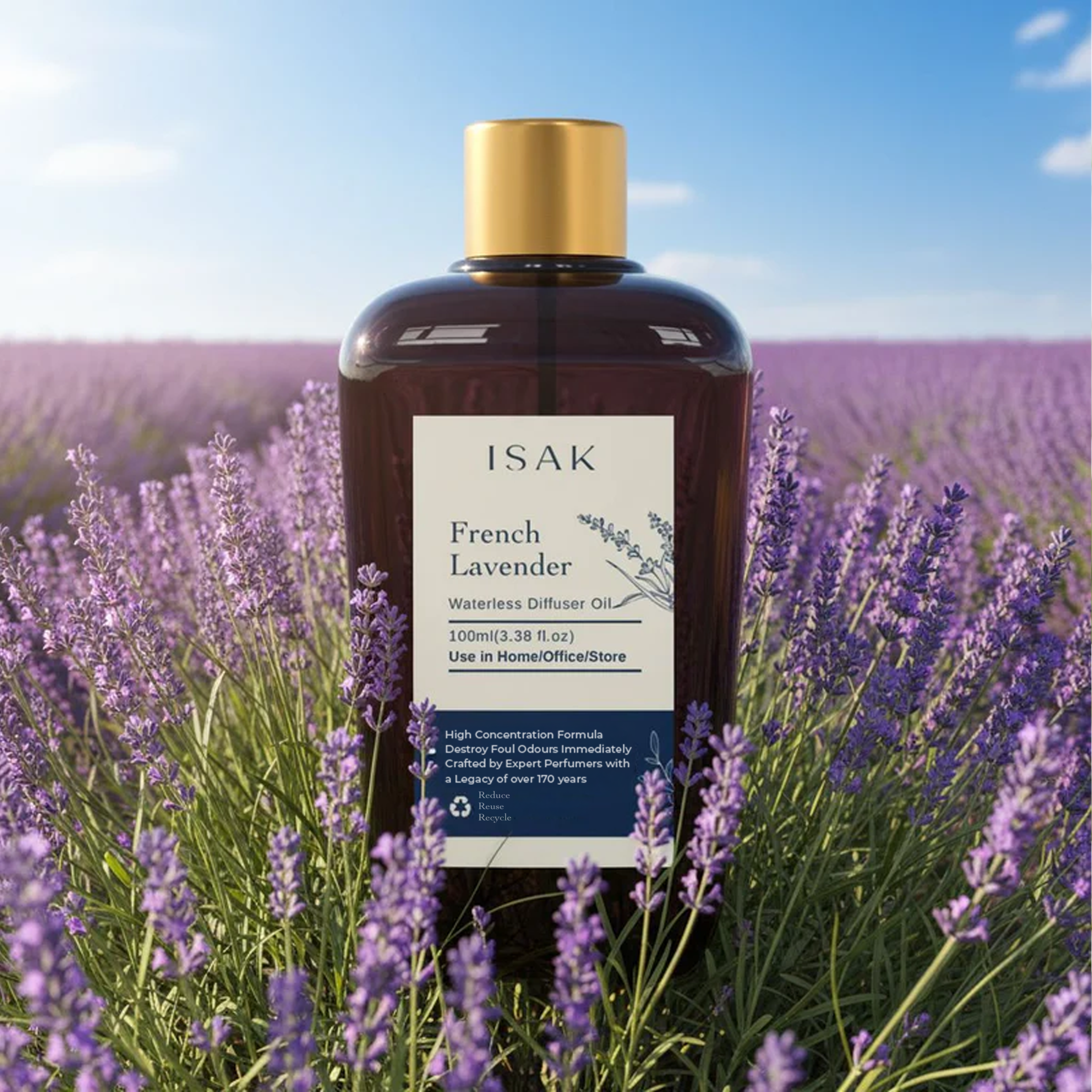 French lavender 
